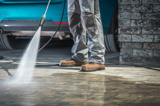 Best Paint Preparation  in Celebration, FL
