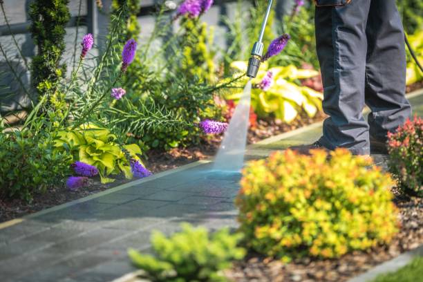 Best Fence Cleaning  in Celebration, FL