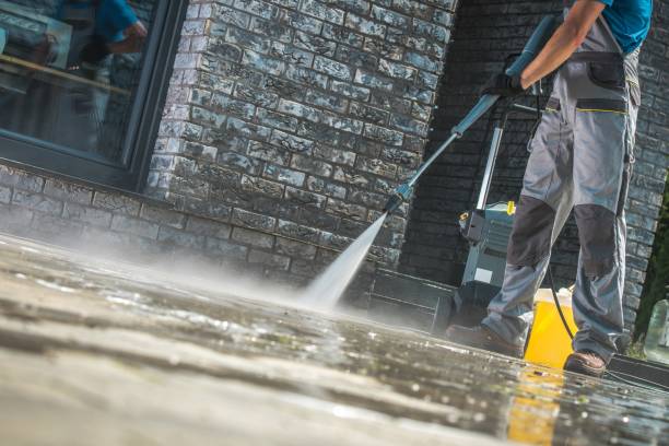 Best Building Exterior Washing  in Celebration, FL