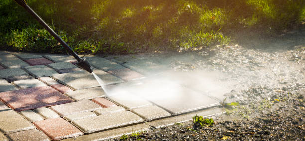 Best Gutter Cleaning  in Celebration, FL
